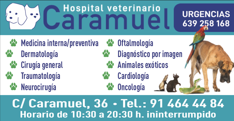 Captura de pantalla 2024-01-29 a las 8.57.18